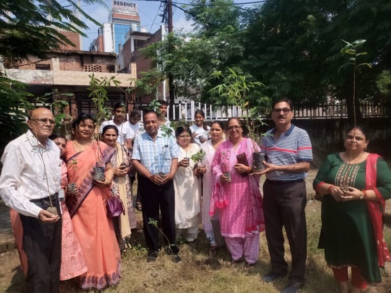 Tree Plantation Drive 2024