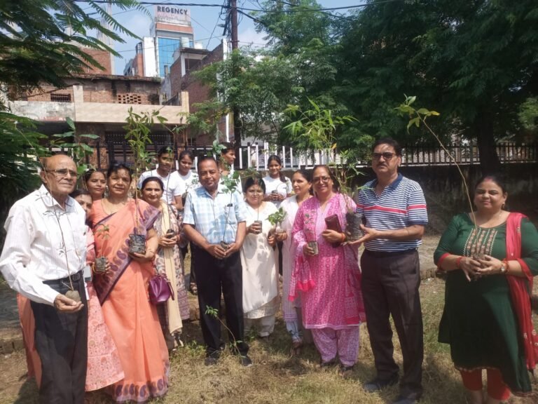 Tree Plantation Drive 2024
